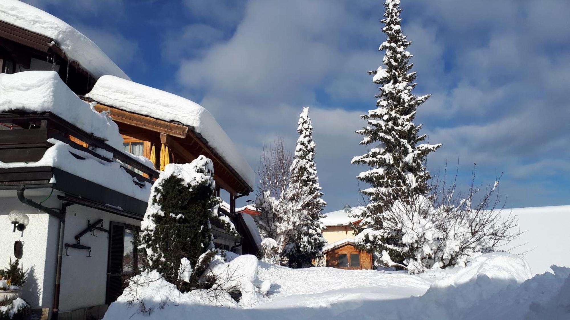 Hotel - Pension - Heidelberg Inkl. Chiemgaukarte Ruhpolding Ngoại thất bức ảnh